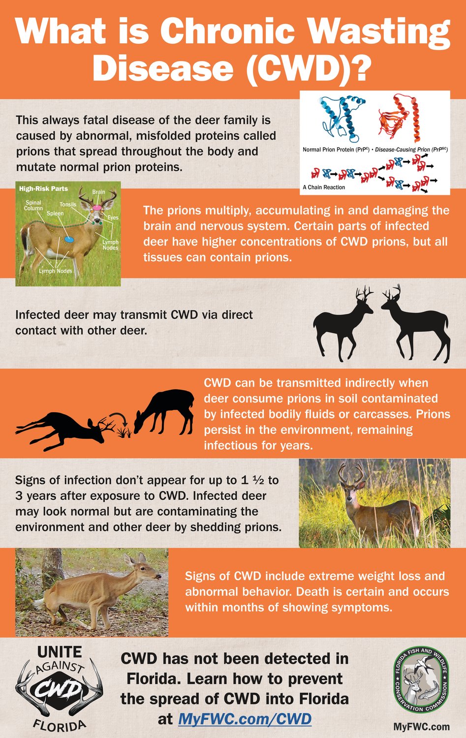 Information about chronic wasting disease